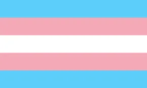 trans flag
